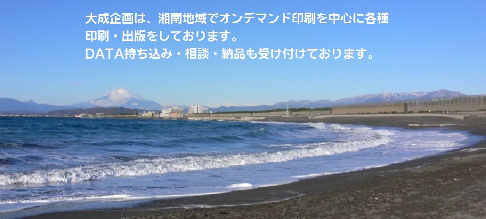 TAISEI KIKAKU